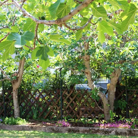 Family With Big Garden * Medulin