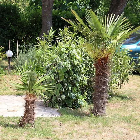 Family With Big Garden Apartman